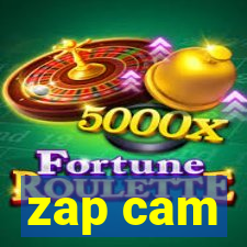 zap cam